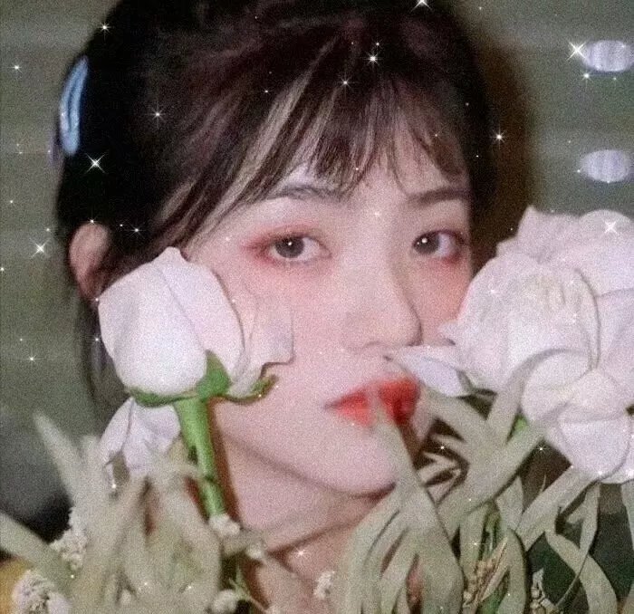 我被沐总宠哭了